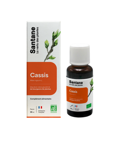 CASSIS Macérat glycériné - SANTANE® - COMPLEMENT ALIMENTAIRE - PHYTOTHERAPIE - PLANTES