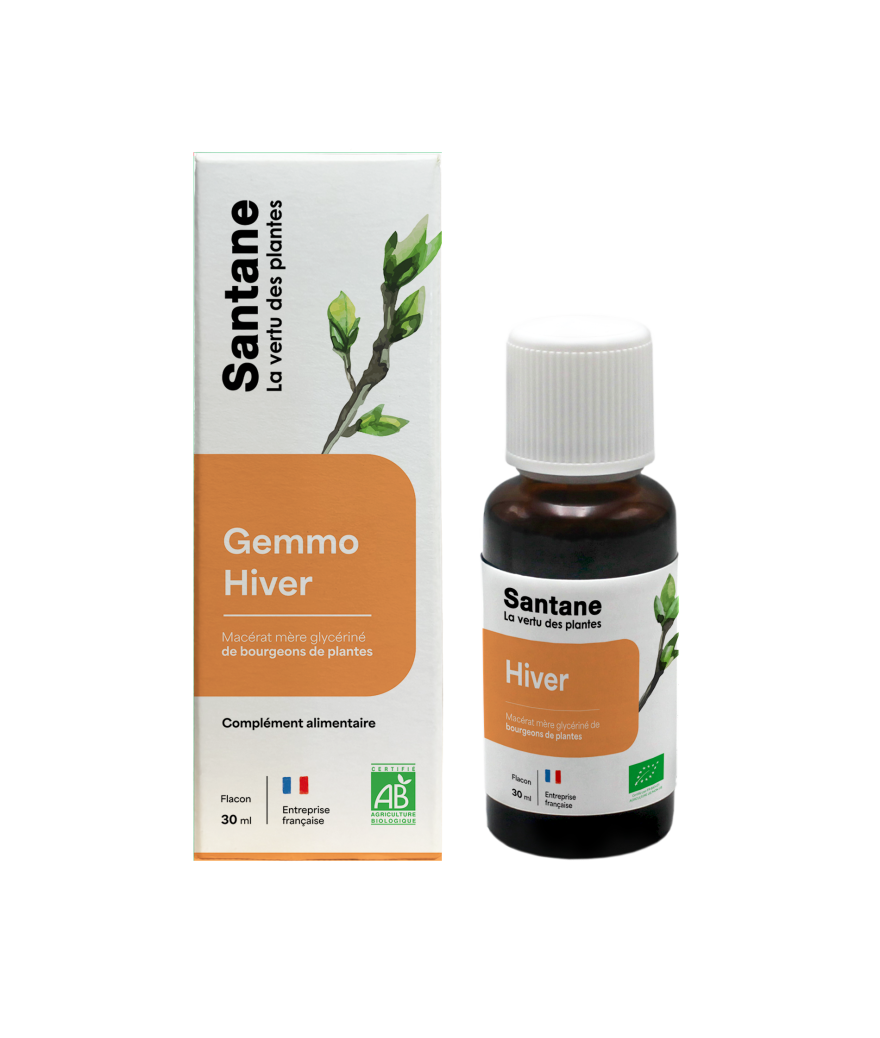 GEMMO HIVER - SANTANE® - PHYTOTHERAPIE - Macérat Glycériné -PLANTES - GEMMOTHERAPIE