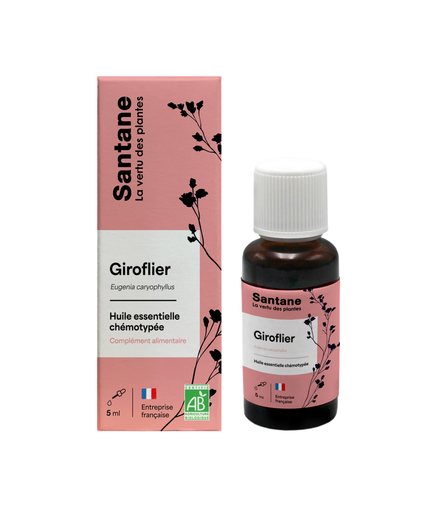 GIROFLIER Huile essentielle - SANTANE® - PHYTOTHERAPIE - AROMATHERAPIE - PLANTES - SANTE NATURELLLE