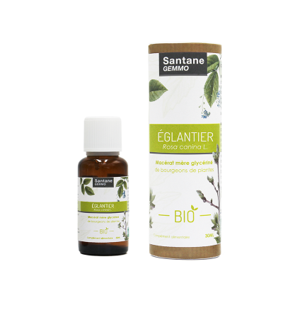 ÉGLANTIER Macérat glycériné - SANTANE® - COMPLEMENT ALIMENTAIRE - PHYTOTHERAPIE - PLANTES