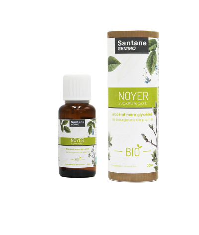 NOYER Macérat glycériné - SANTANE® - COMPLEMENT ALIMENTAIRE - PHYTOTHERAPIE - PLANTES