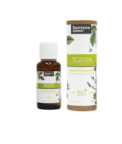 SÉQUOIA Macérat glycériné - SANTANE® - GEMMOTHERAPIE - PHYTOTHERAPIE - BOURGEONS - PLANTES