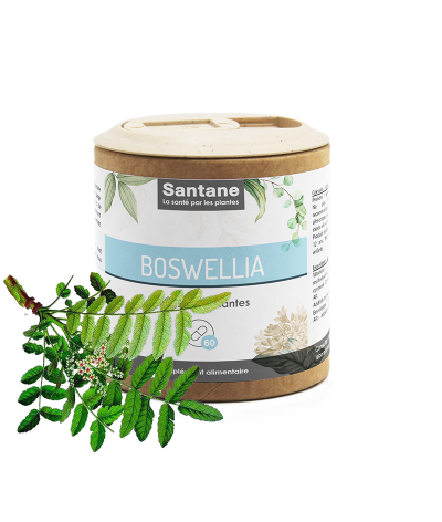 BOSWELLIA Gélules - SANTANE® - COMPLEMENT ALIMENTAIRE - PHYTOTHERAPIE - PLANTES