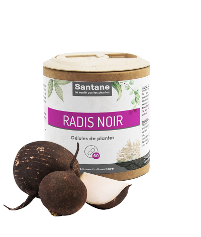 Radis noir - Gélules de plantes - Détox - Santane® - Phytothérapie