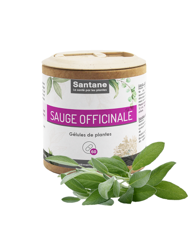 SAUGE OFFICINALE Gélules - SANTANE® - COMPLEMENT ALIMENTAIRE - PHYTOTHERAPIE - PLANTES