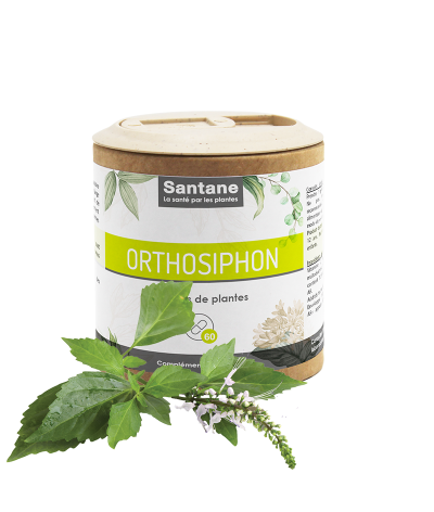 ORTHOSIPHON 270MG Gélules - SANTANE® - COMPLEMENT ALIMENTAIRE - PHYTOTHERAPIE - PLANTES