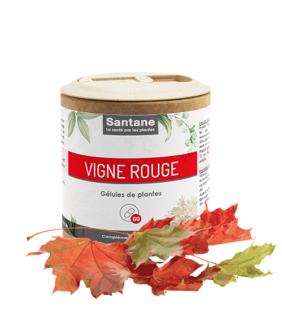 VIGNE ROUGE Gélules - SANTANE® - COMPLEMENT ALIMENTAIRE - PHYTOTHERAPIE - PLANTES