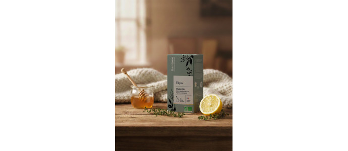 Thym : une infusion bio aromatique inspirée des traditions méditerranéennes